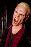 James Marsters as the vampire Spike